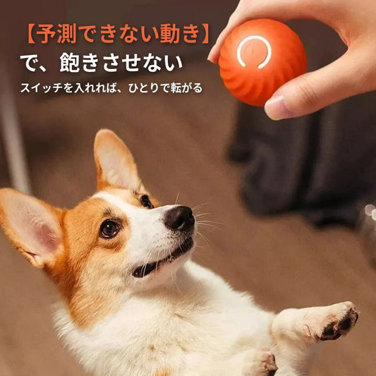 【予測できない動き】自動で転がる犬用おもちゃボール Type-C充電