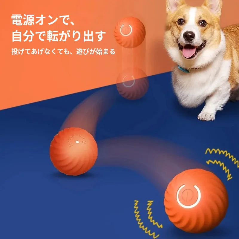 【予測できない動き】自動で転がる犬用おもちゃボール Type-C充電