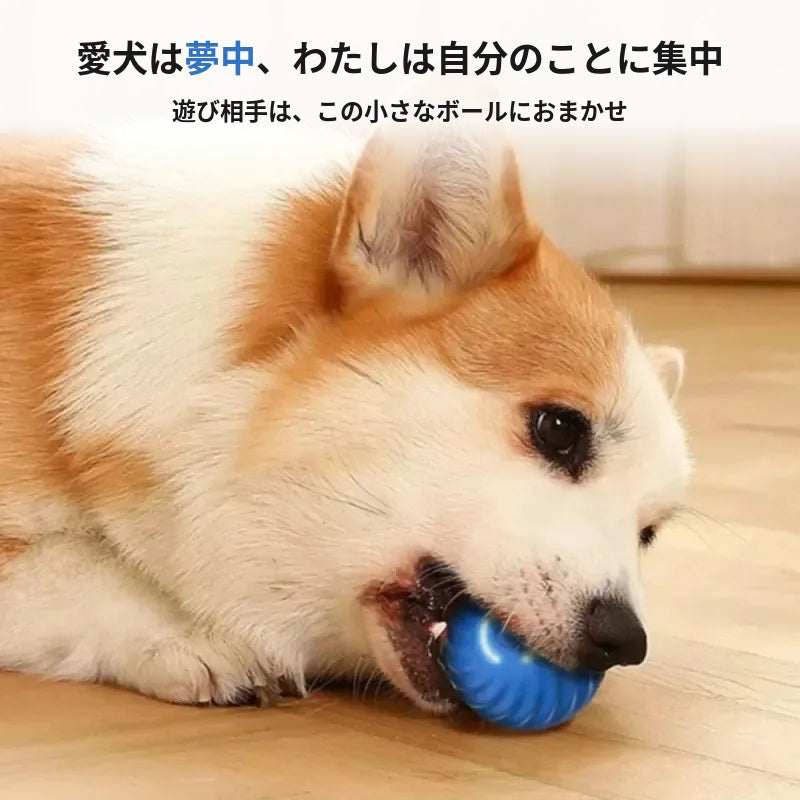 【予測できない動き】自動で転がる犬用おもちゃボール Type-C充電
